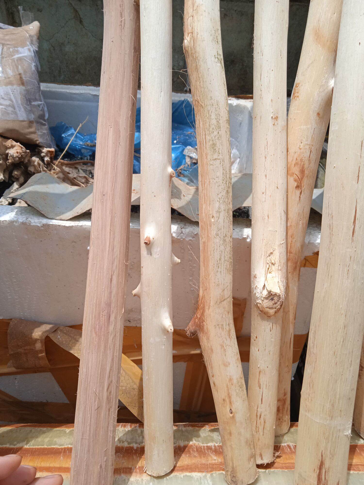 Cành cây gỗ macrame 2m