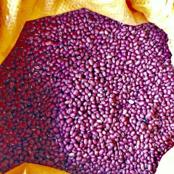 500g hạt đỗ đỏ