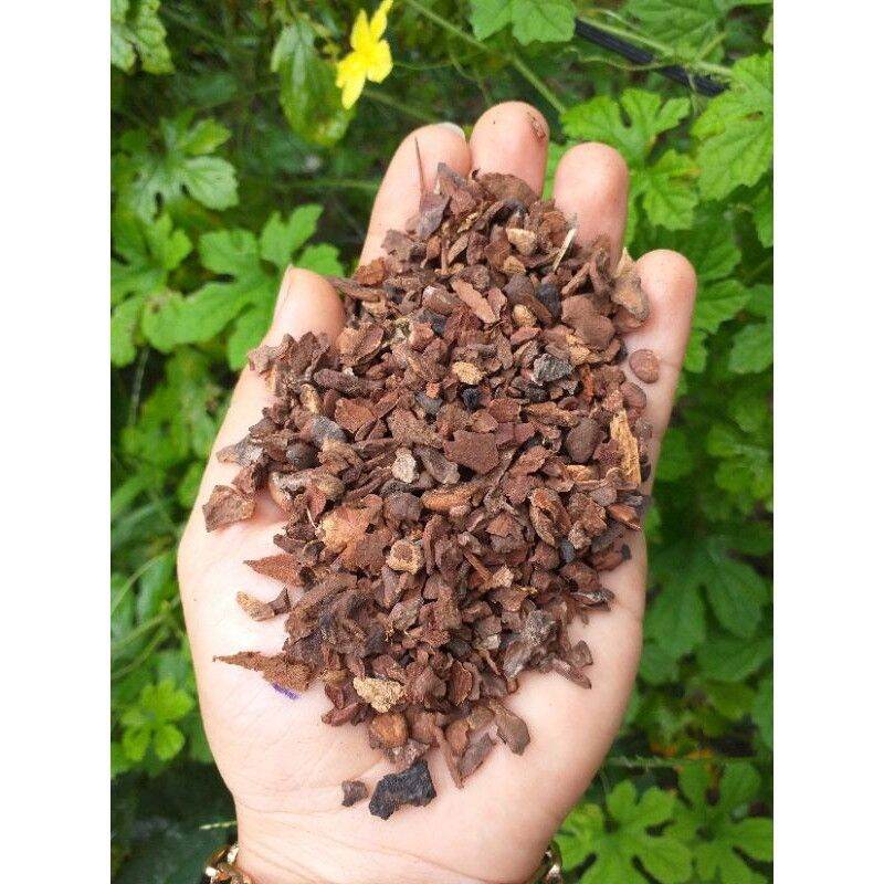 1 Kg Vỏ Thông Vụn Hạt Đỗ