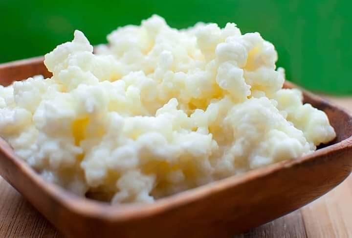 combo nấm sữa kefir 5gr và rây lộc nấm 9cm...