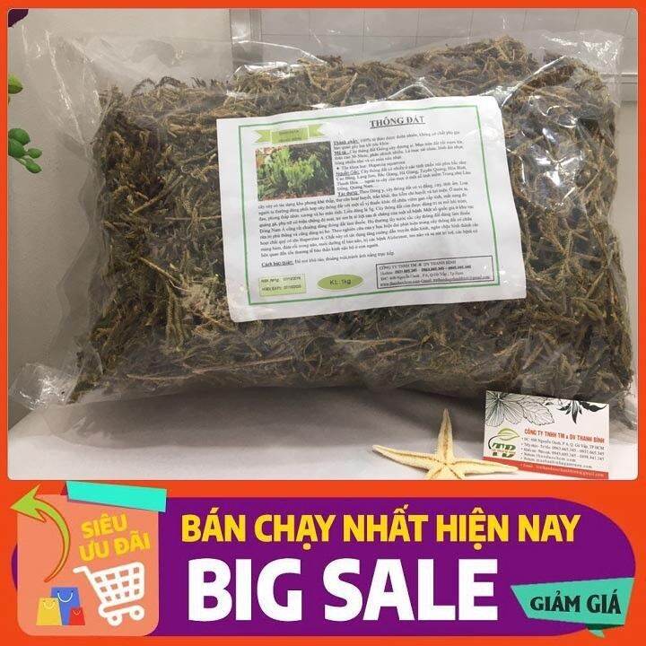 500g cây thông đất