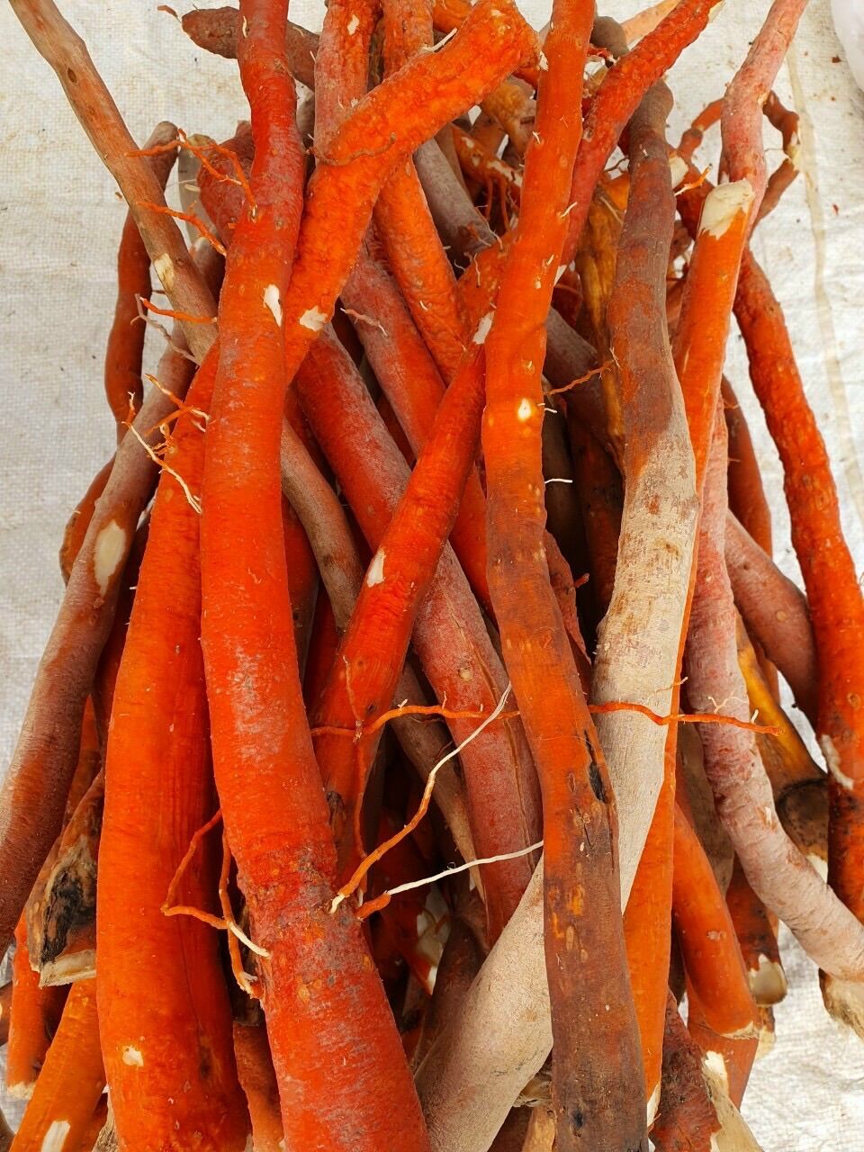 1kg sâm cau khô, hàng lựa đẹp