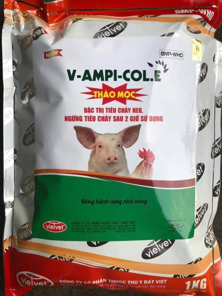Thảo mộc t.r.ị tiêu chảy cho heo gà vịt