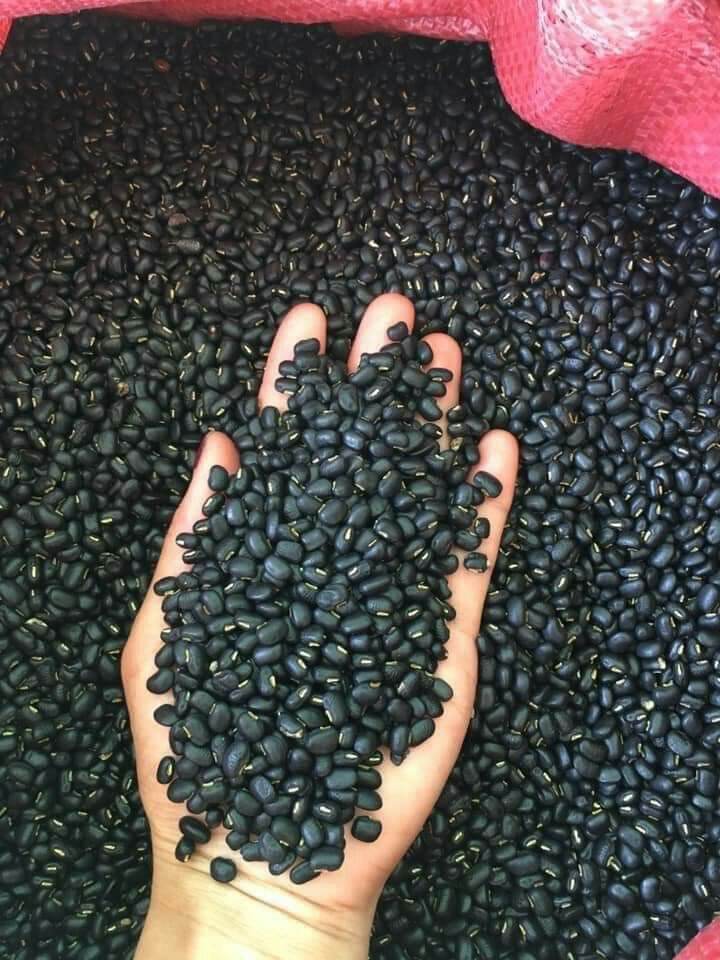 Đỗ đen ta xanh lòng 1kg