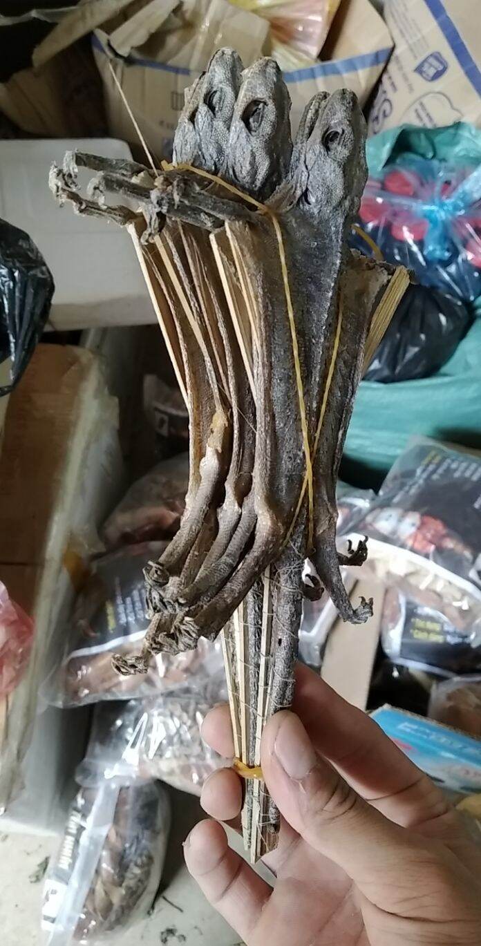 Combo 2 con tắc kè khô