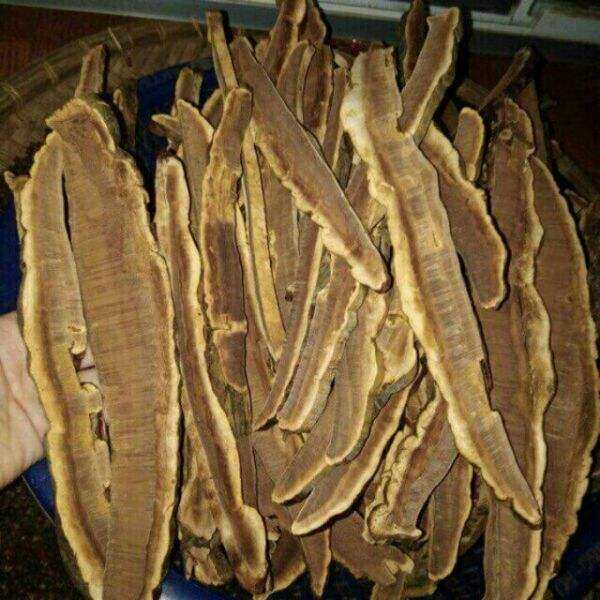 1kg nấm linh chi rừng ( sắc lát)
