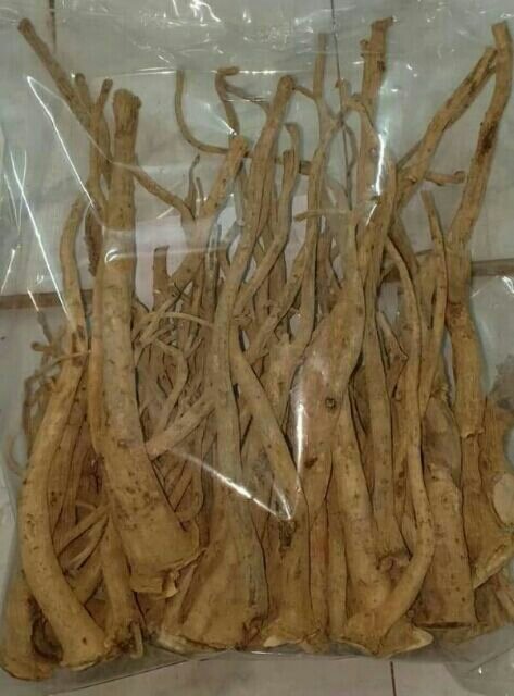 500g rễ đinh lăng