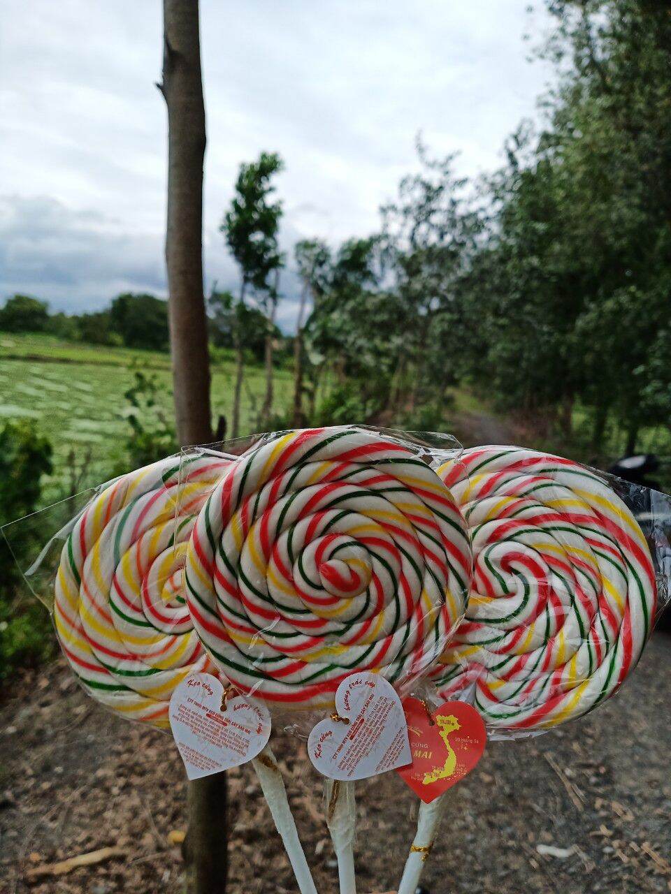 KẸO MÚT NHIỀU MÀU CẦU VÒNG QUÀ TẶNG CHO CÁC BÉ ( combo 10 cây) size khổng lồ