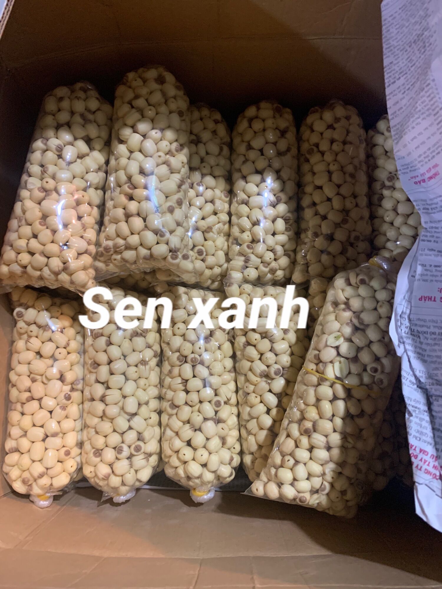 Hạt sen tươi Đồng Tháp