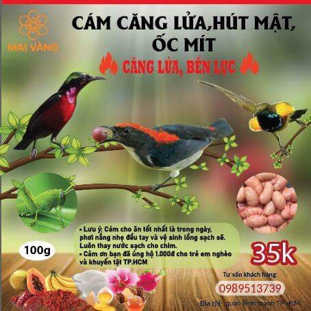 Combo 5goi cám vip căng lửa hút mật và óc mít tặng vòi châm nước
