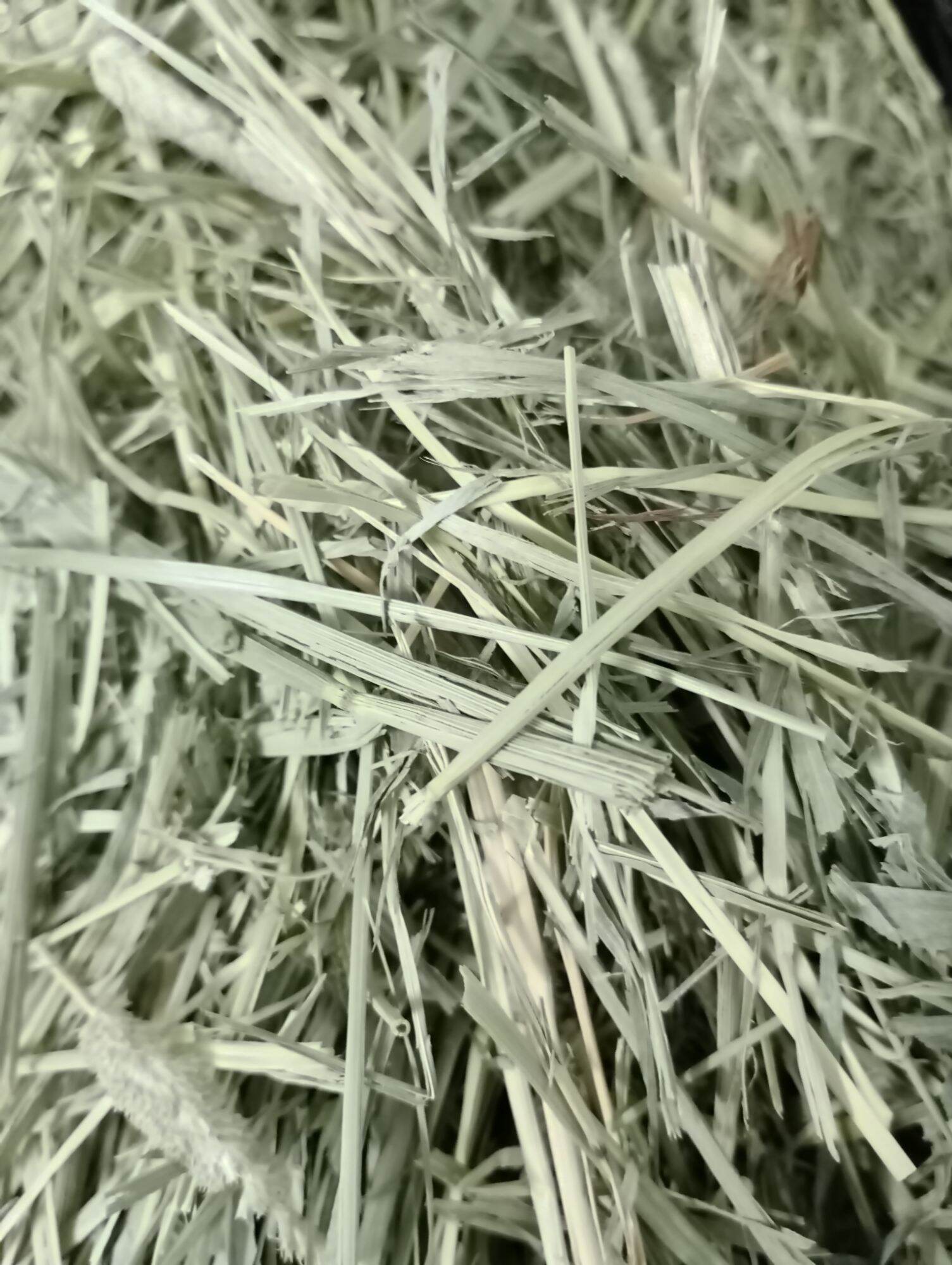cỏ khô Timothy 1 kí