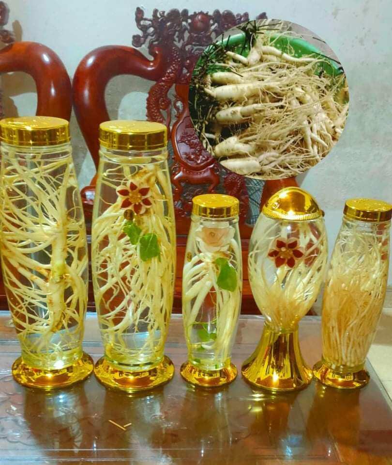 1kg sâm dây ngọc linh kontum- đẳng sâm tươi 10 củ /kg