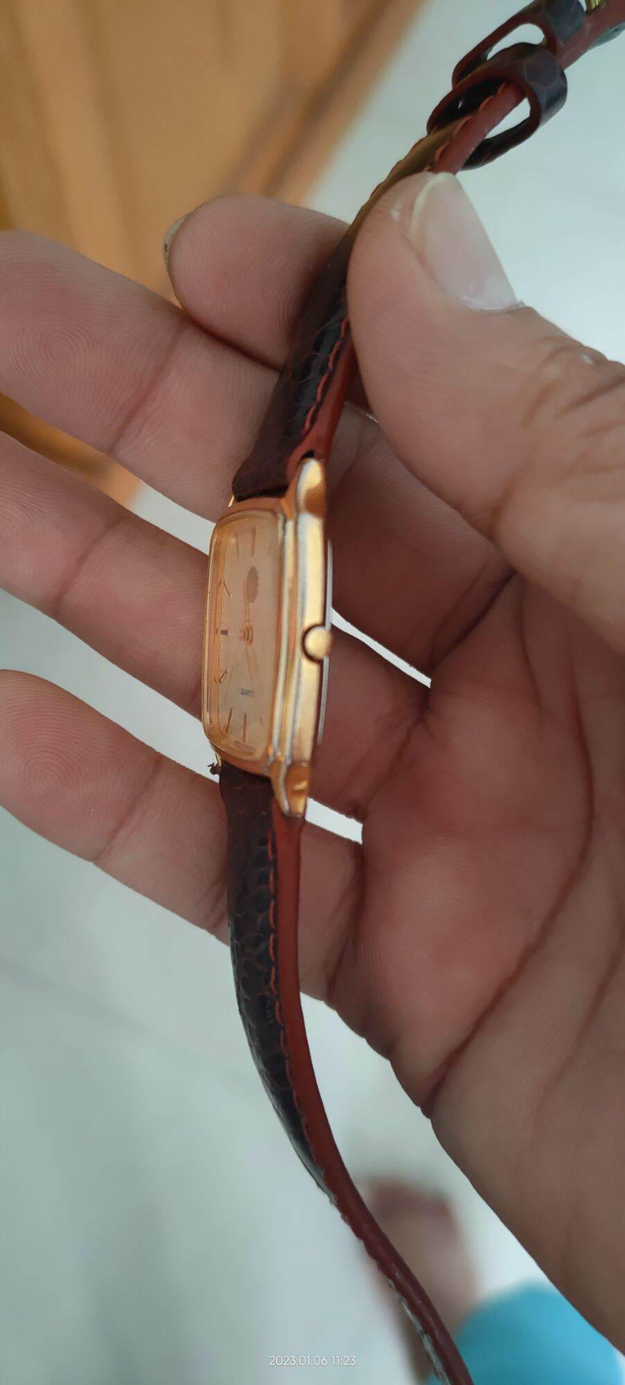 Citizen 🌼 nội địa Nhật