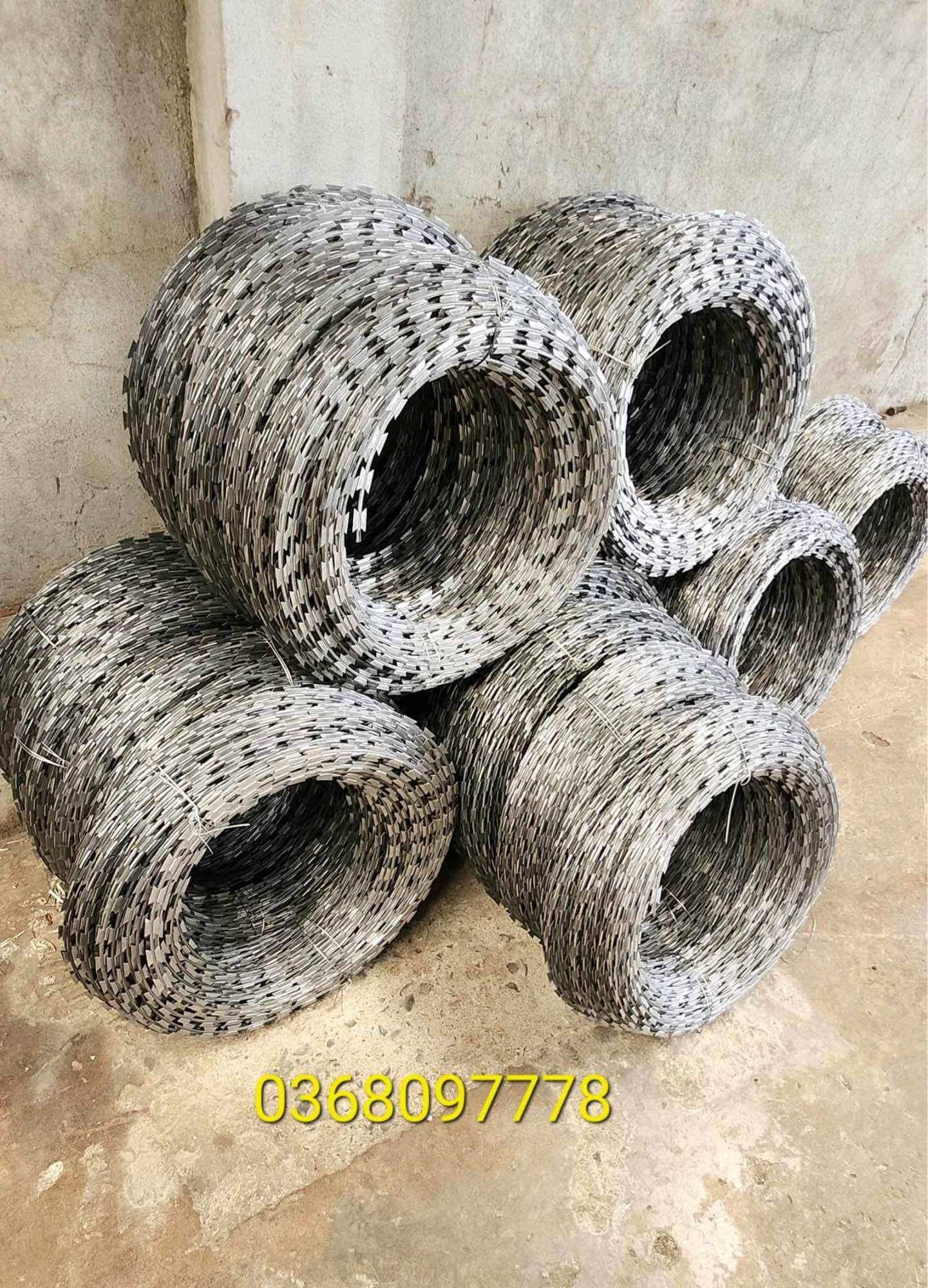 Kẽm gai bờ rào hoà phát