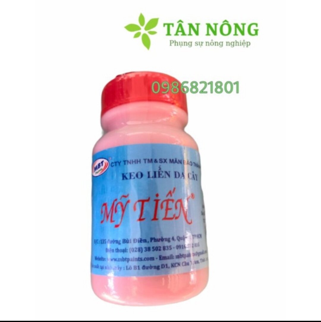 Keo liền da cây mỹ tiến 100g