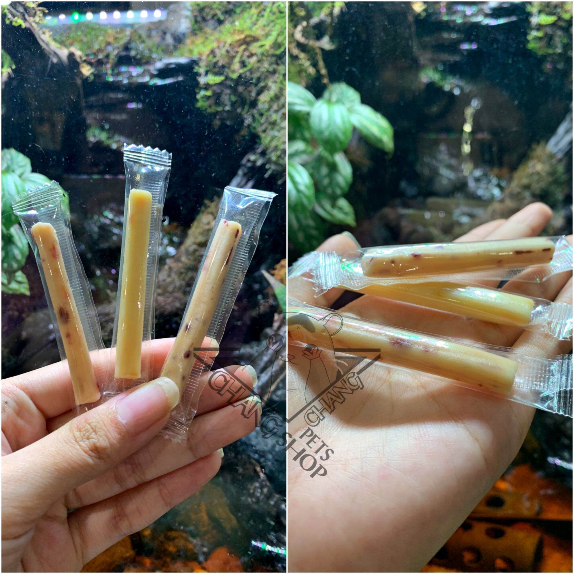 1 thanh phomai mềm cho hamster,sóc, thỏ, bọ ú