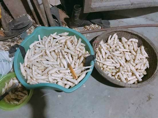 Bột Bình Tinh 500g