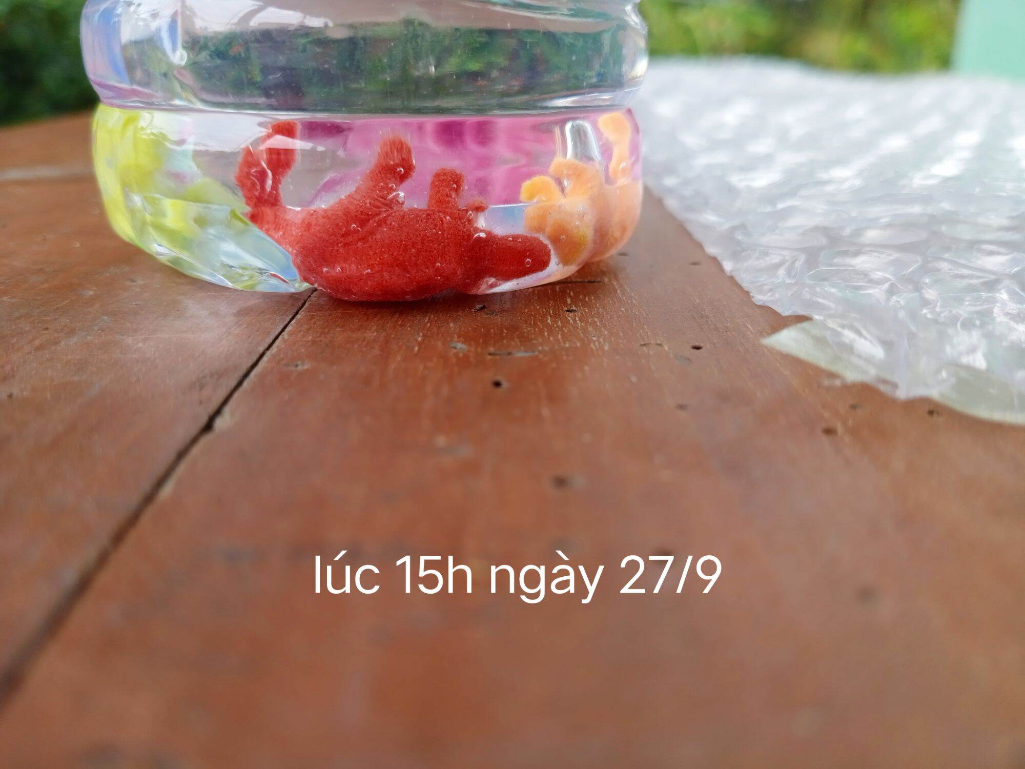 Sét 3 trứng khủng long tự nở trong nước