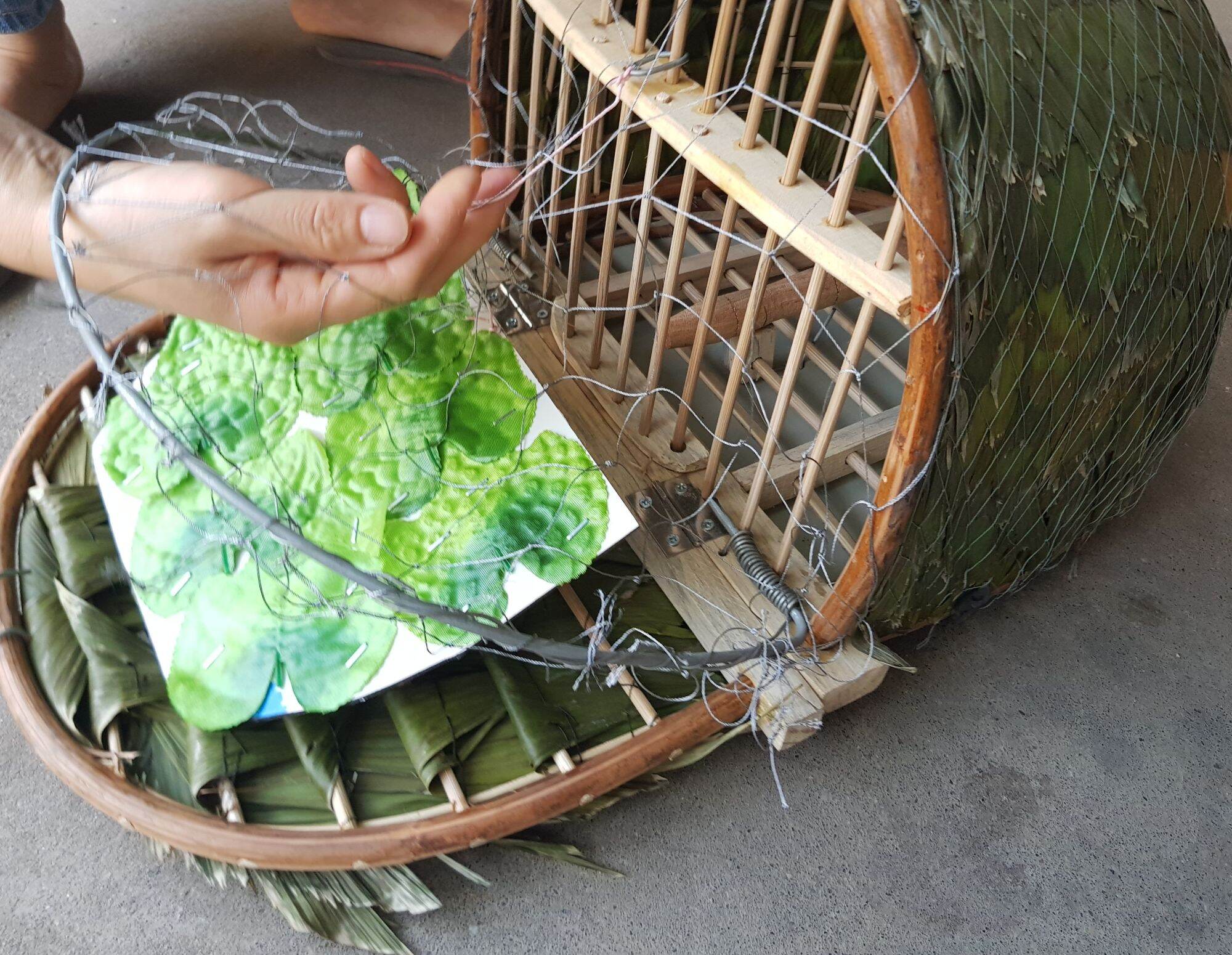 Lồng bẫy chim cu gáy hàng đẹp