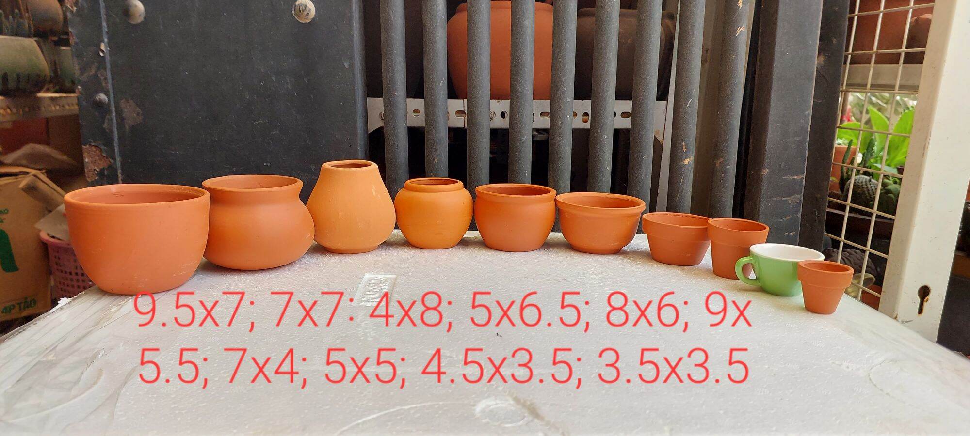 Combo 10 chậu Bình Dương mini như hình
