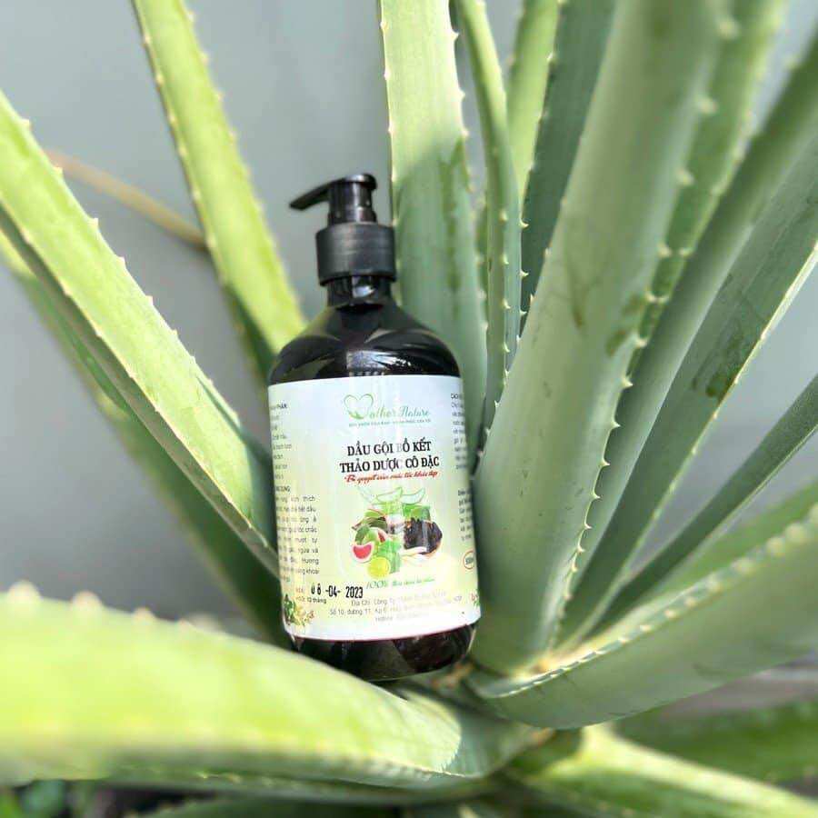 Dầu gội bồ kết thảo dược Mother Nature