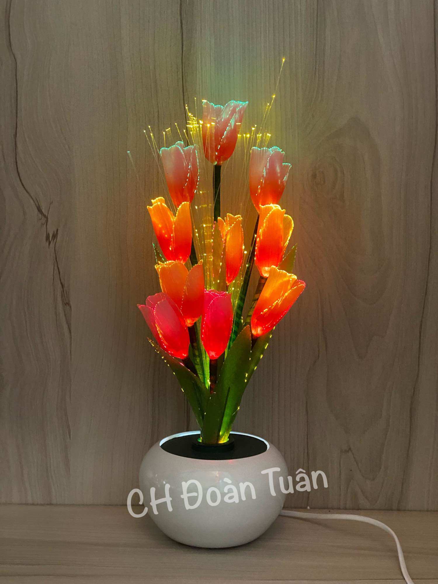Chậu hoa đèn LED để bàn trang trí - đèn bình hoa thủy tinh