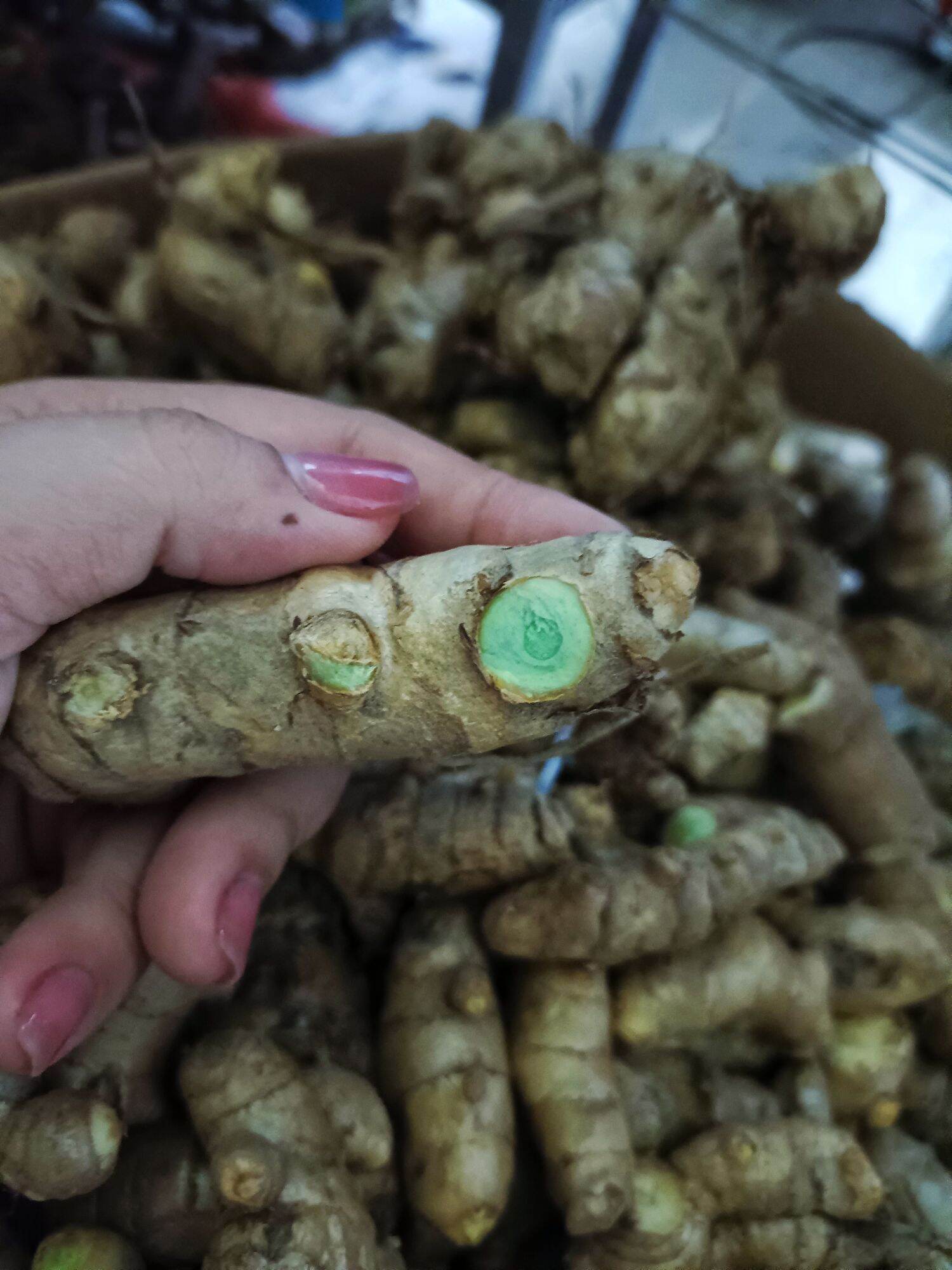 500g nghệ xanh chuẩn