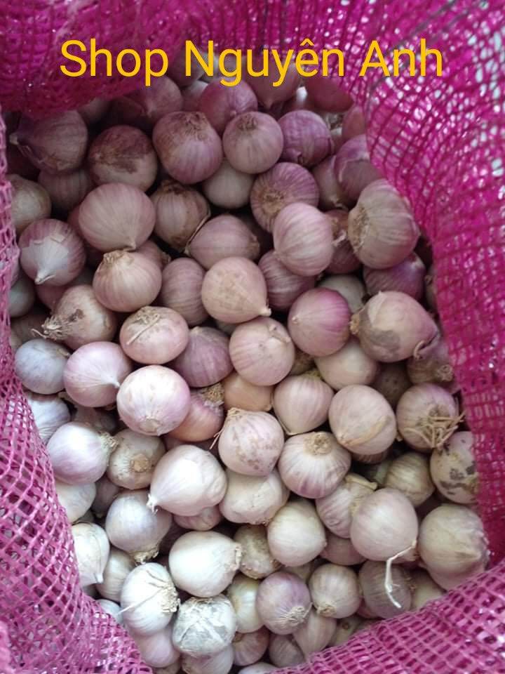 1KG TỎI CÔ ĐƠN