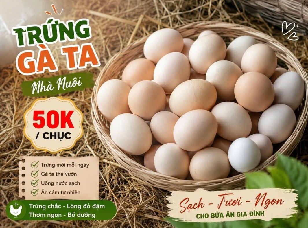 Trứng gà nòi nhà nuôi 50k/chục, tươi ngon, an toàn, dùng nấu ăn, làm bánh, súp, chiên, luộc, hấp, nấu canh, trứng dài hạn, thơm ngon, bổ dưỡng.