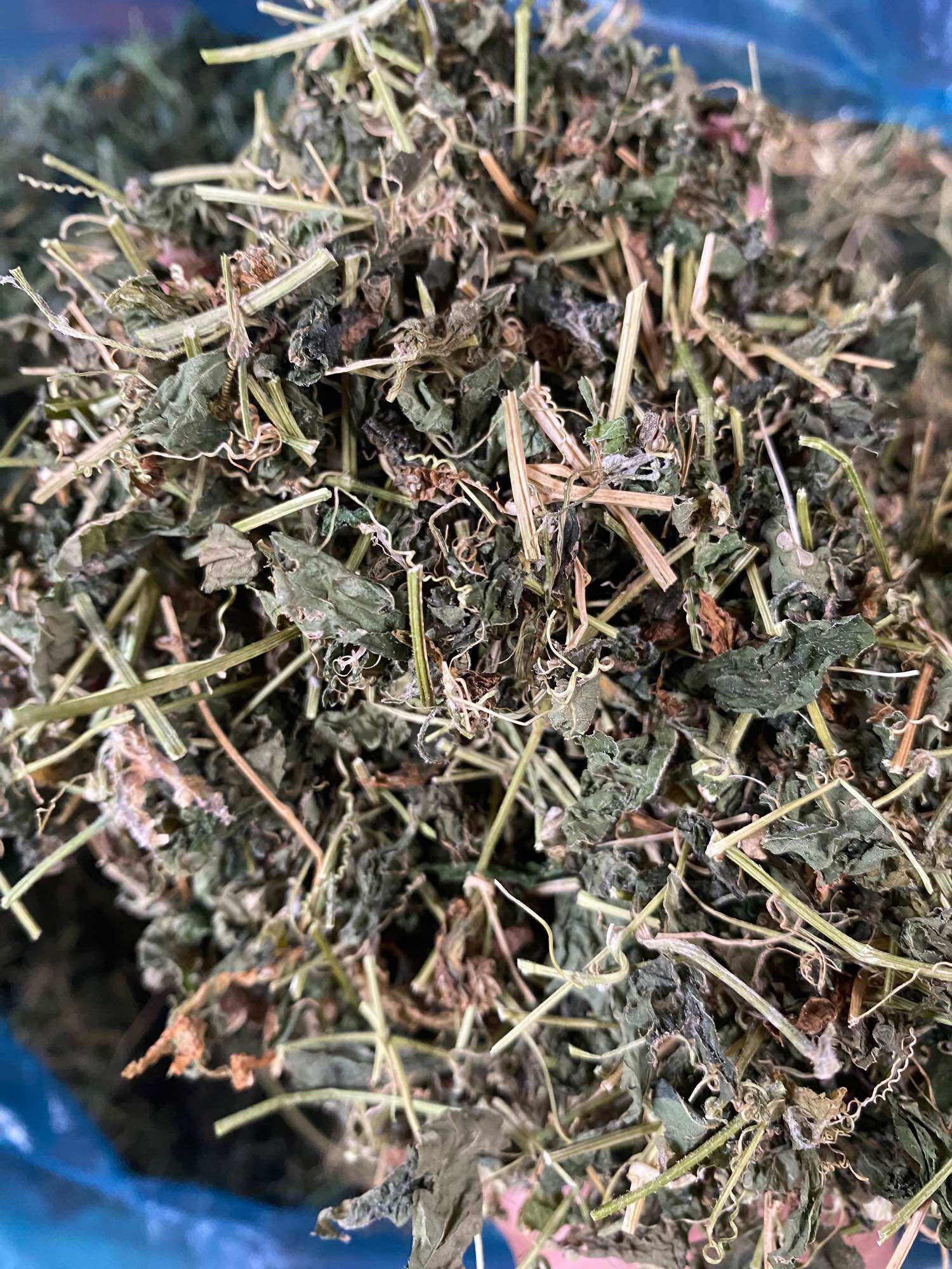 500g Trà Thảo Mộc Khổ Qua Rừng