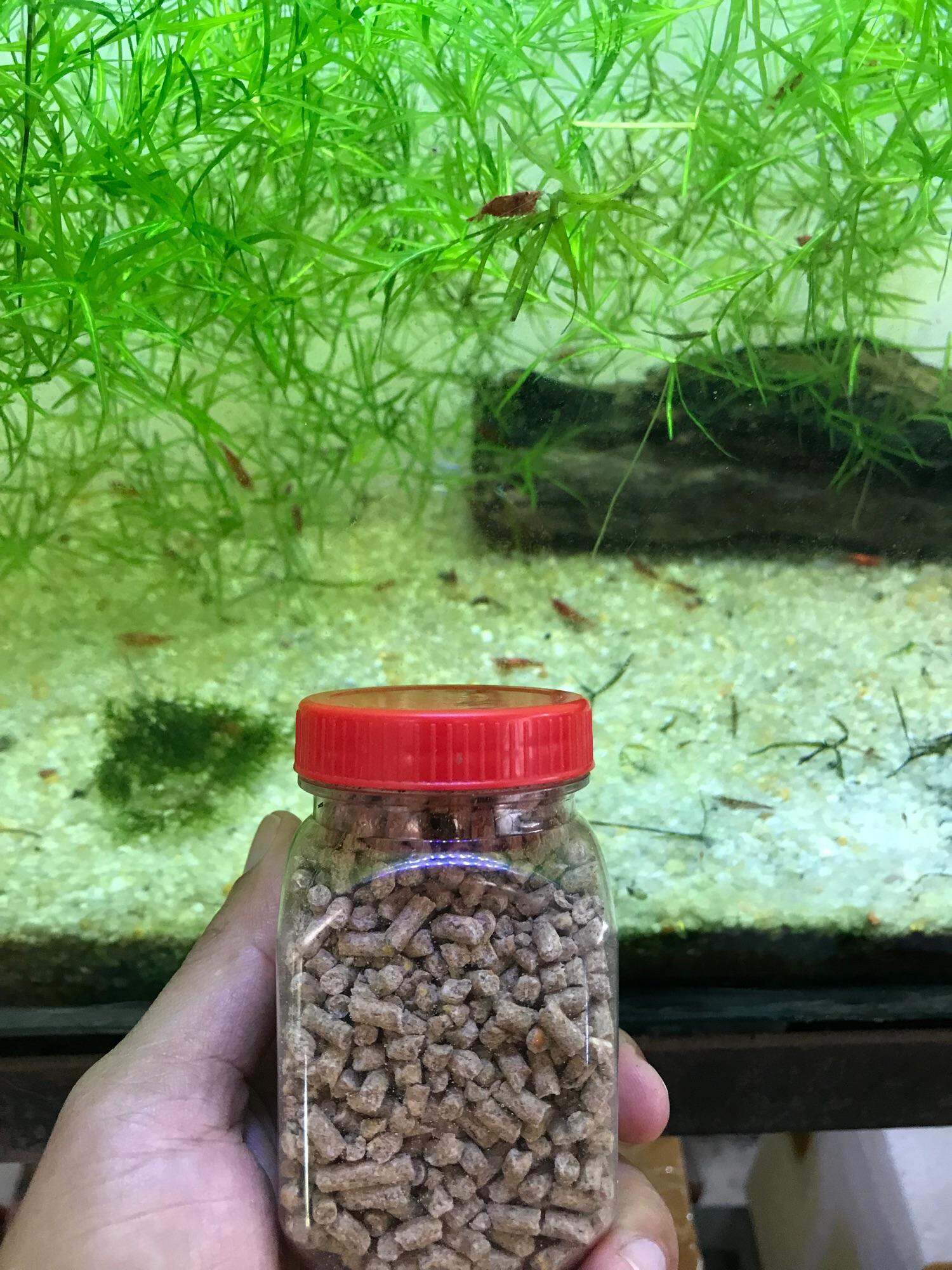 50gam thức ăn cho tép, thức ăn cho tép siêu bu, bu theo bầy