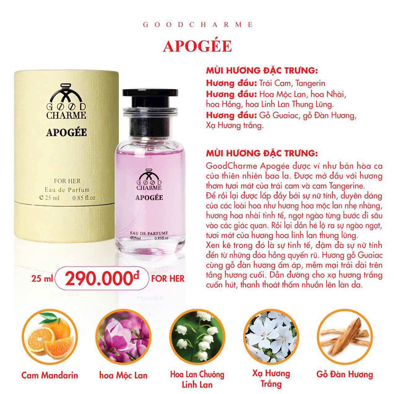 Coco Perfume 50ml White Chame (New Model 50ml)