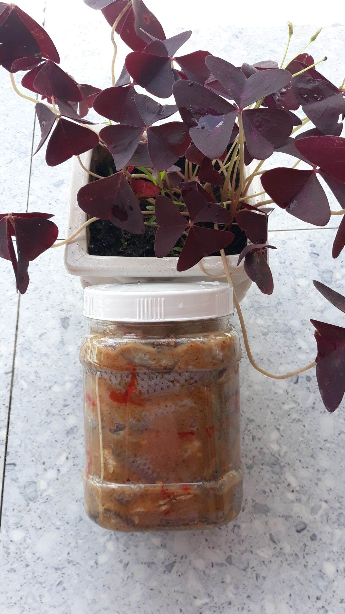 Mắm cá phi 1 kí (Hương vị Cà Mau)