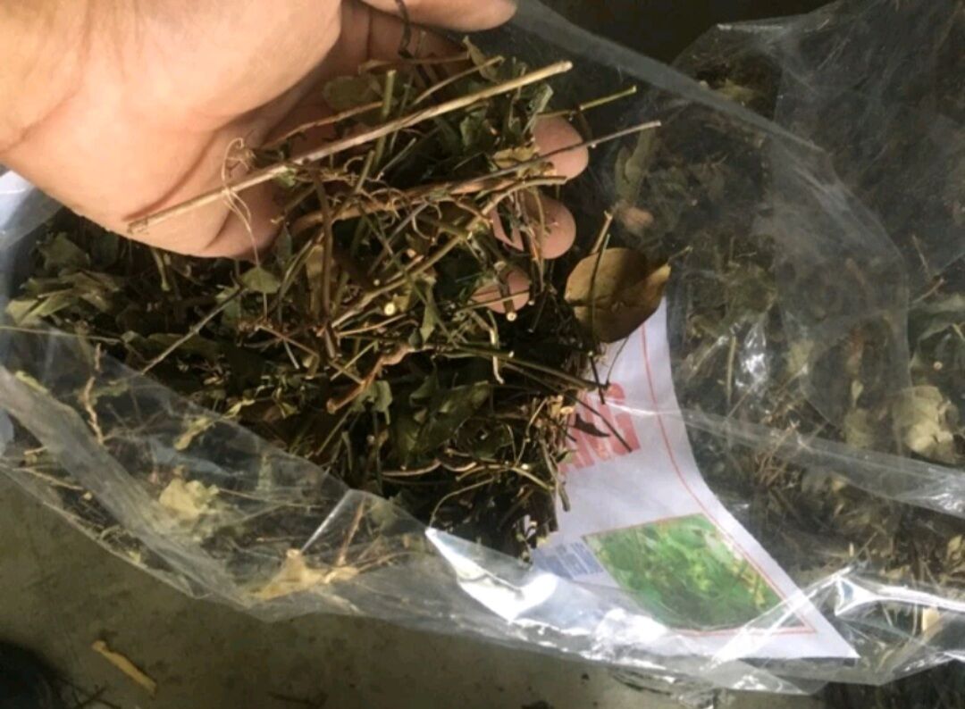 1Kg chè vằng sẻ giảm cân lợi sữa