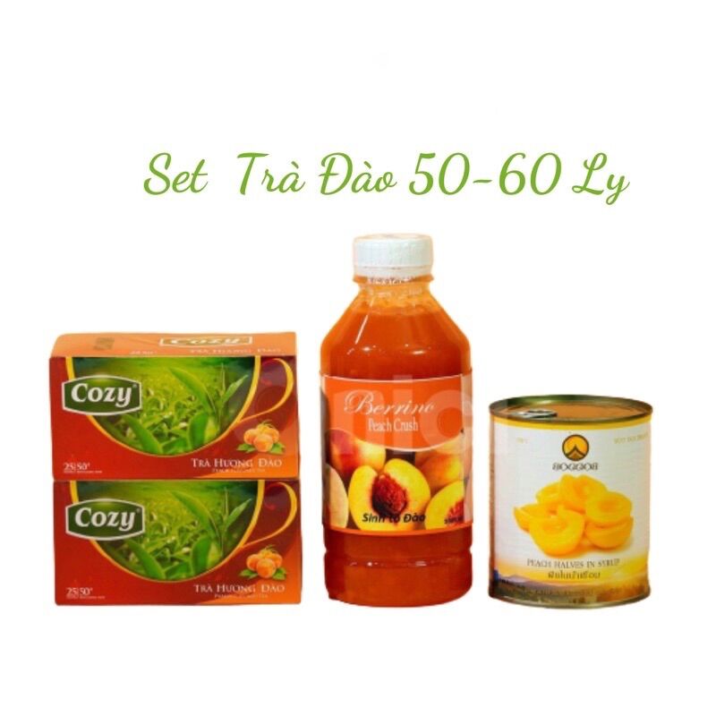 Set Nguyên Liệu Pha Chế Trà Đào 30-40ly