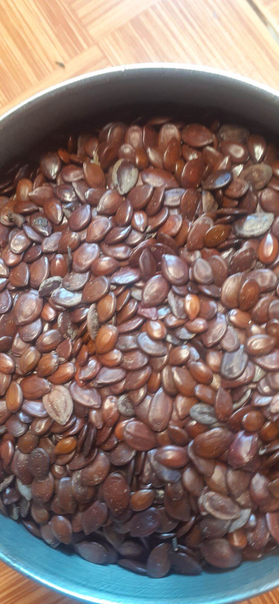 500 gram hạt giống cây keo dậu