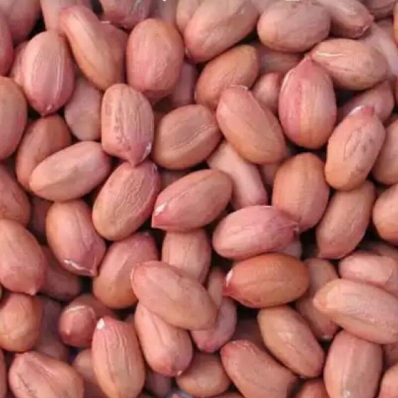 [HCM]Đậu phộng quê ( Lạc) sống 1kg bao mới ngon
