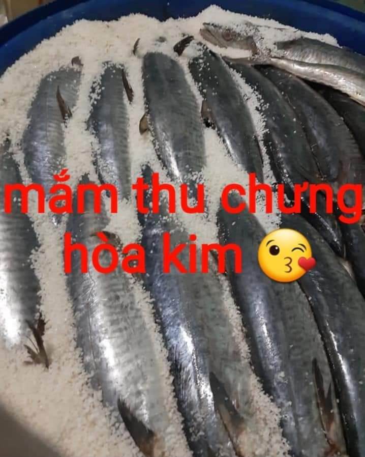Mắm cá thu cắt lát 1kg - Hoà Kim Phan Rang