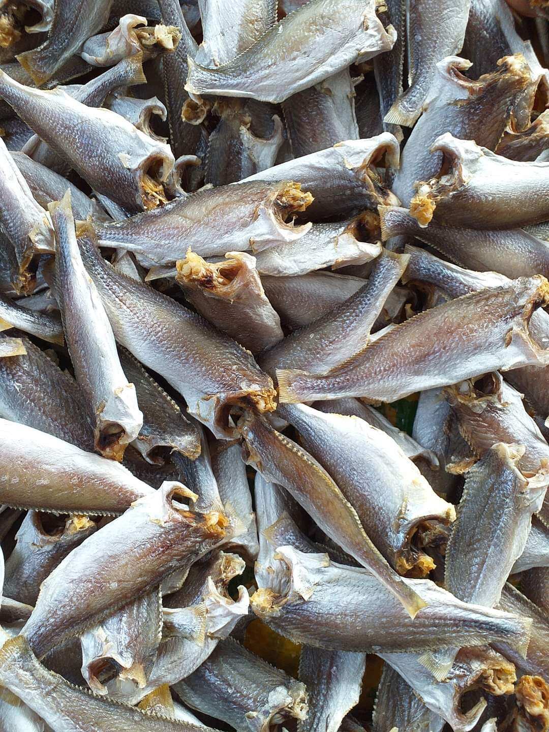 Khô cá lù đù 60k/ 0,5 kg