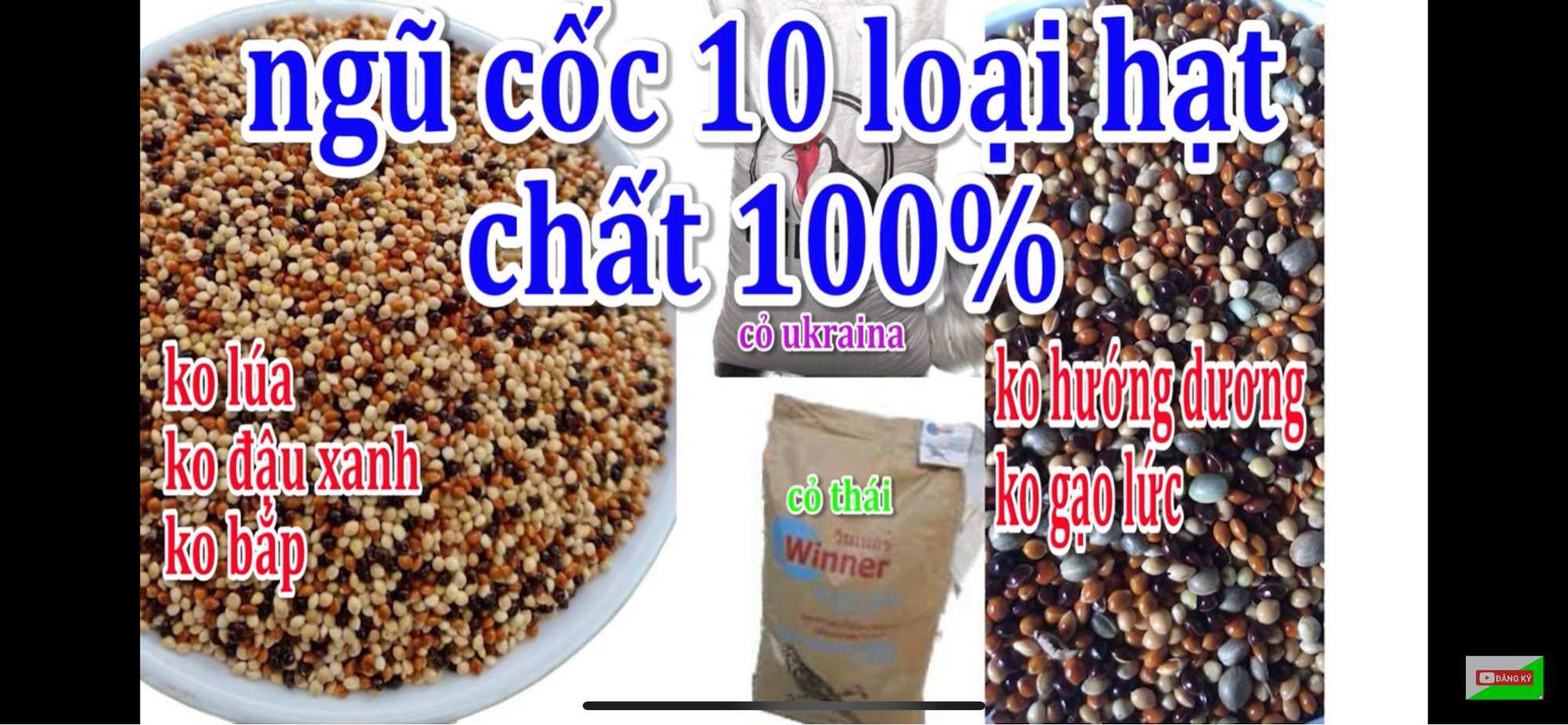 1kg ngũ cốc 10loại hạt giúp cu gáy căng lửa đấu bền