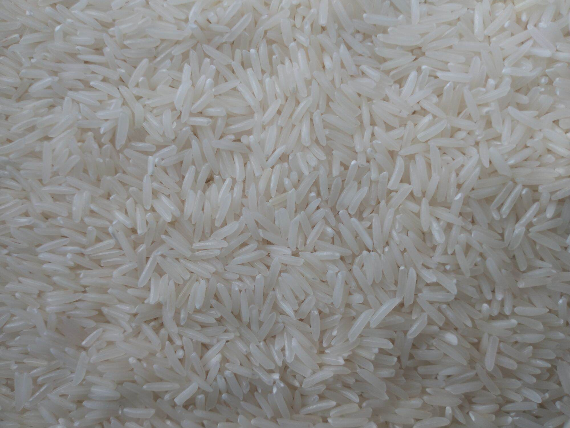 Gạo ST 25 Đặc Sản Sóc Trăng