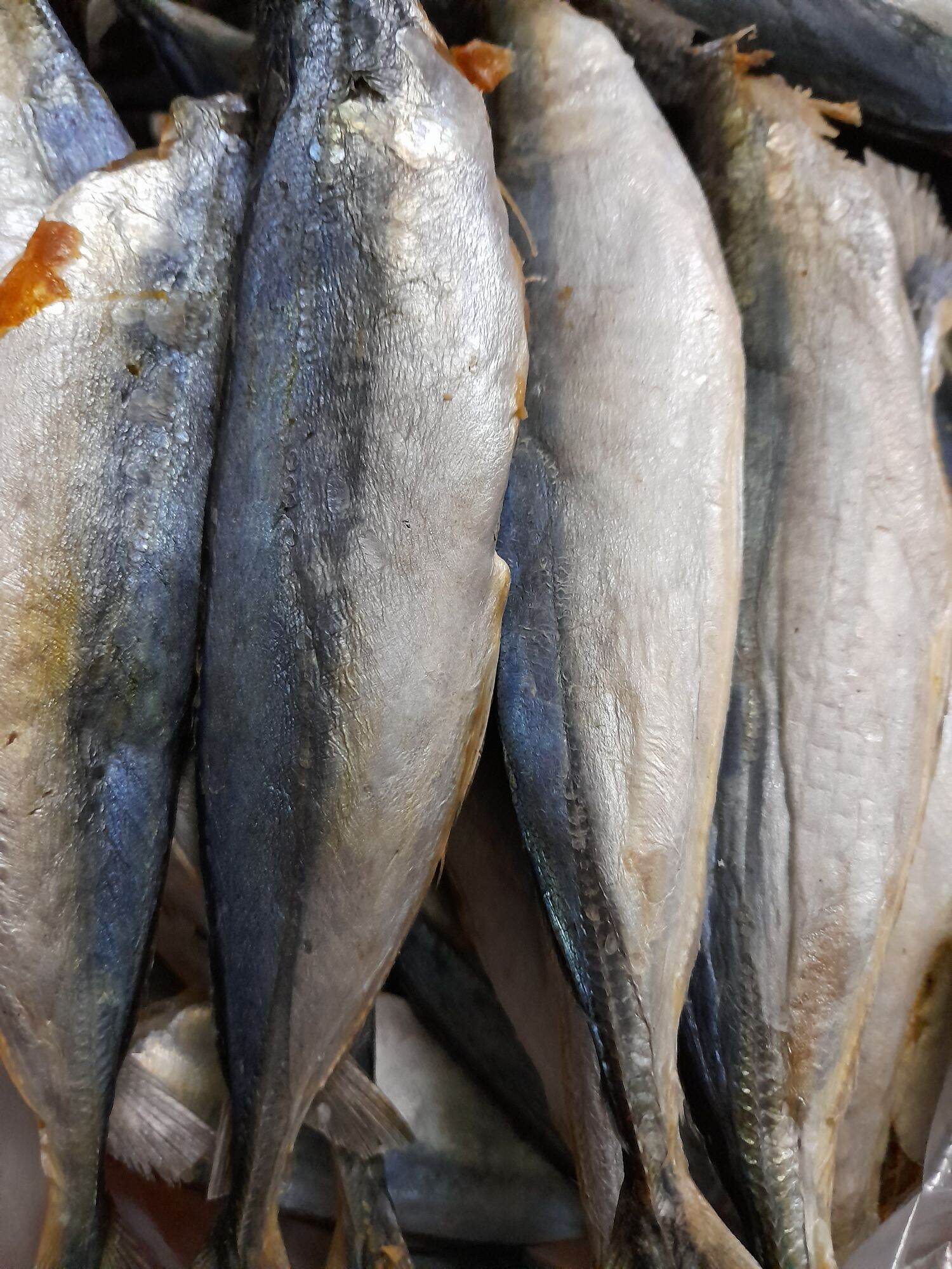 Khô cá nục 500gr