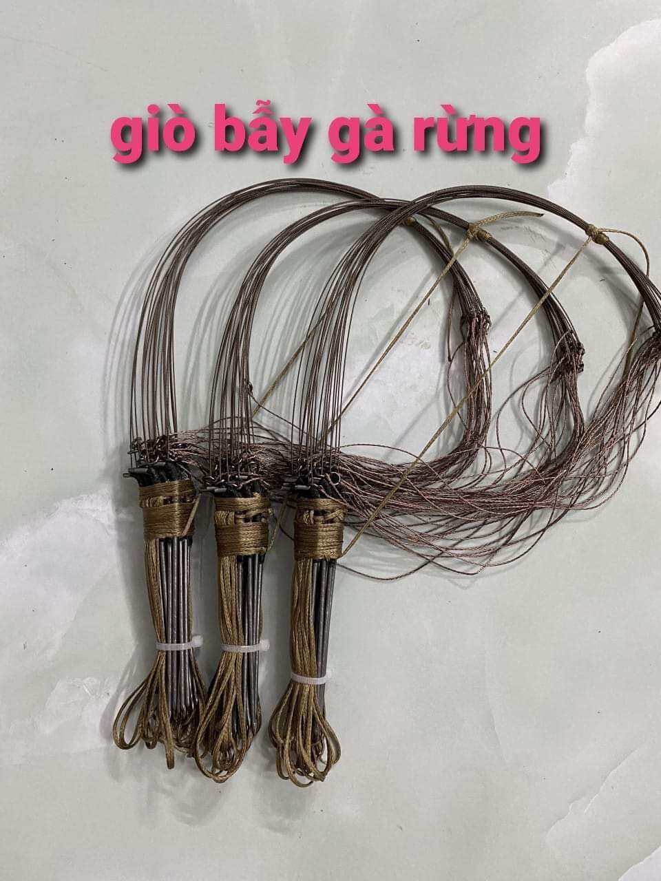 Giò chân thép 20 chân/1 bộ