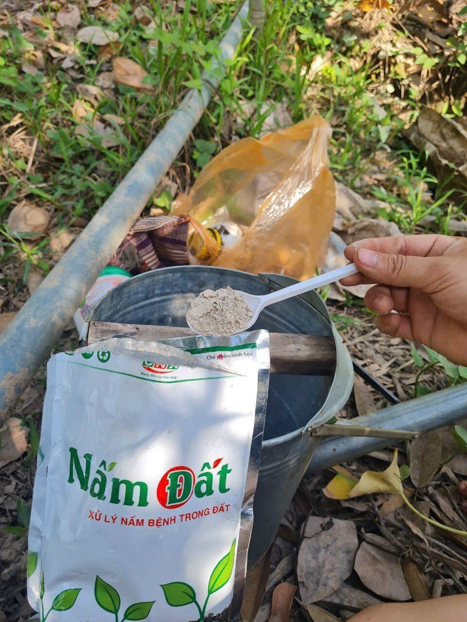 Nấm Đất- Xử lý nấm bệnh trong đất