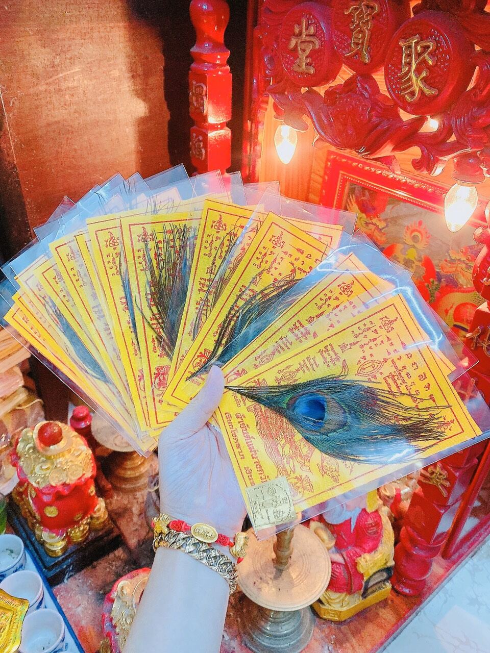 Combo lông công may mắn thái lan