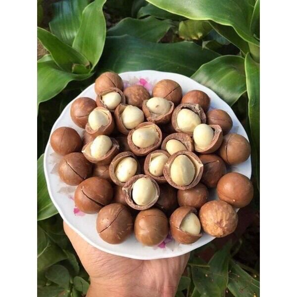 Hạt Mac Ca dinh dưỡng 500gr