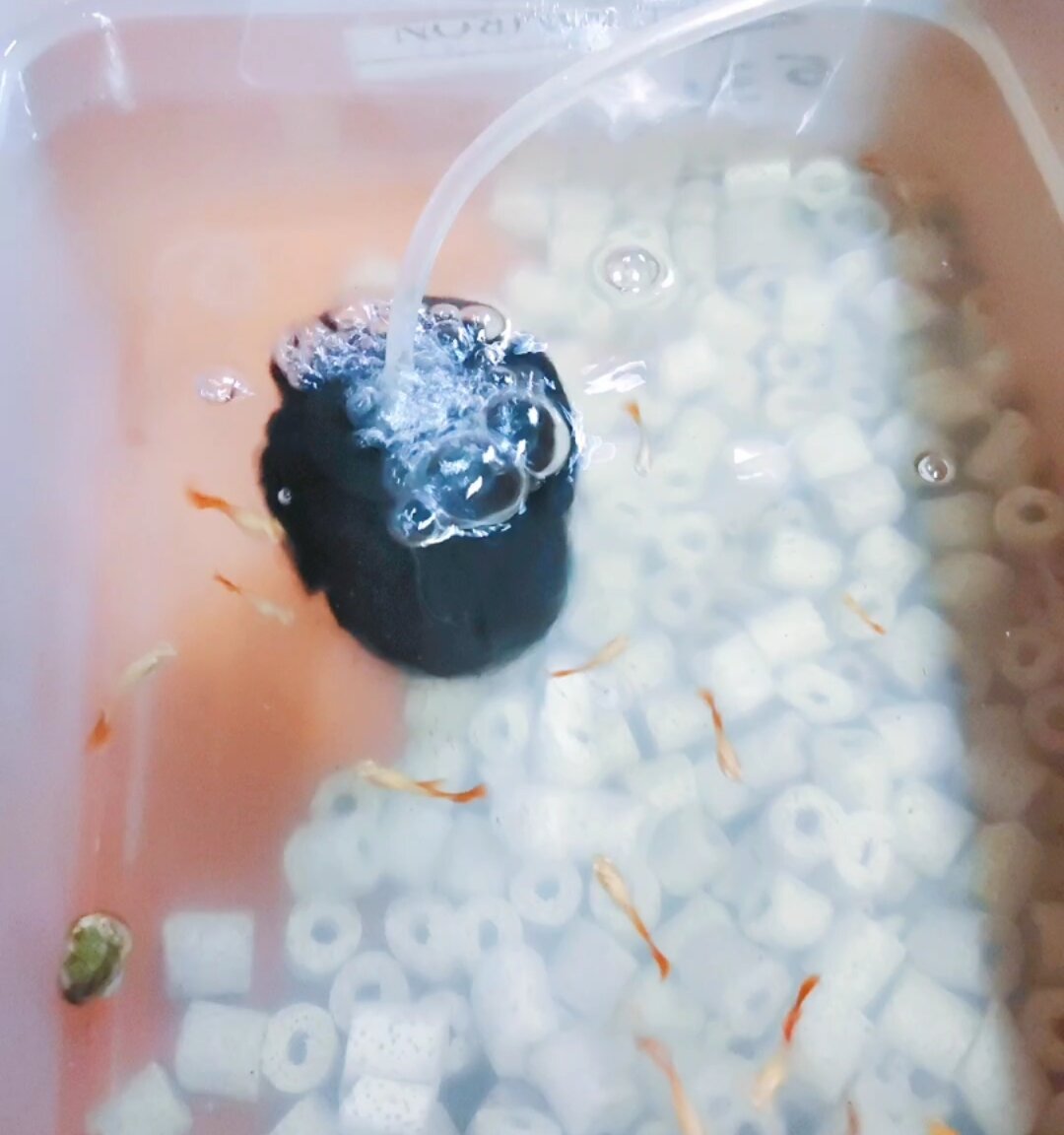 Lọc Sủi Vi Sinh Bio Xy-180