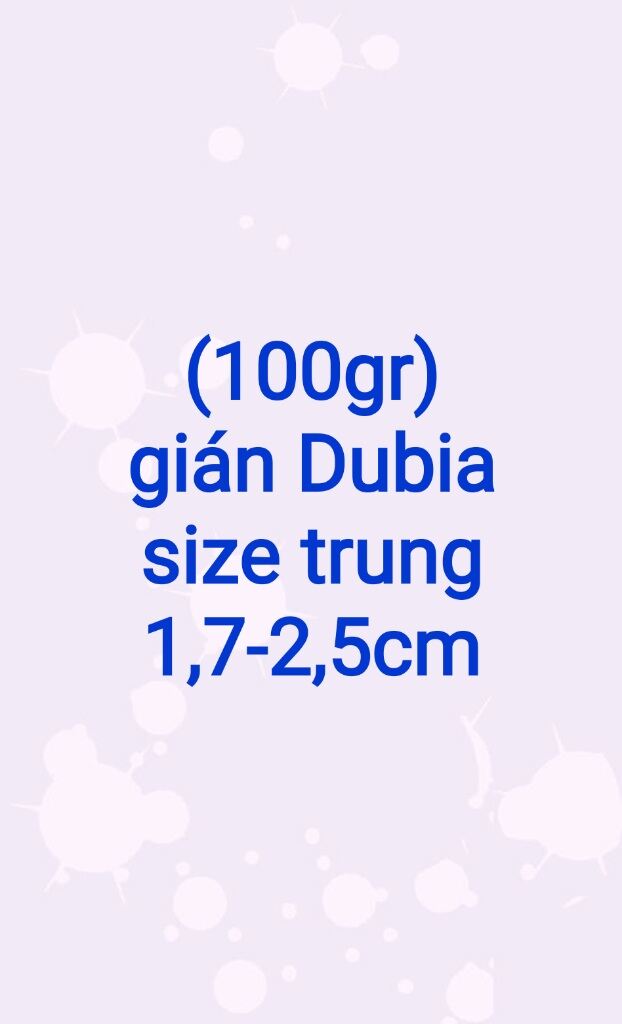 Hộp 100g Dubia size trung 1,7 đến 2,5cm . Hoàn tiền 100% tương ứng khi có