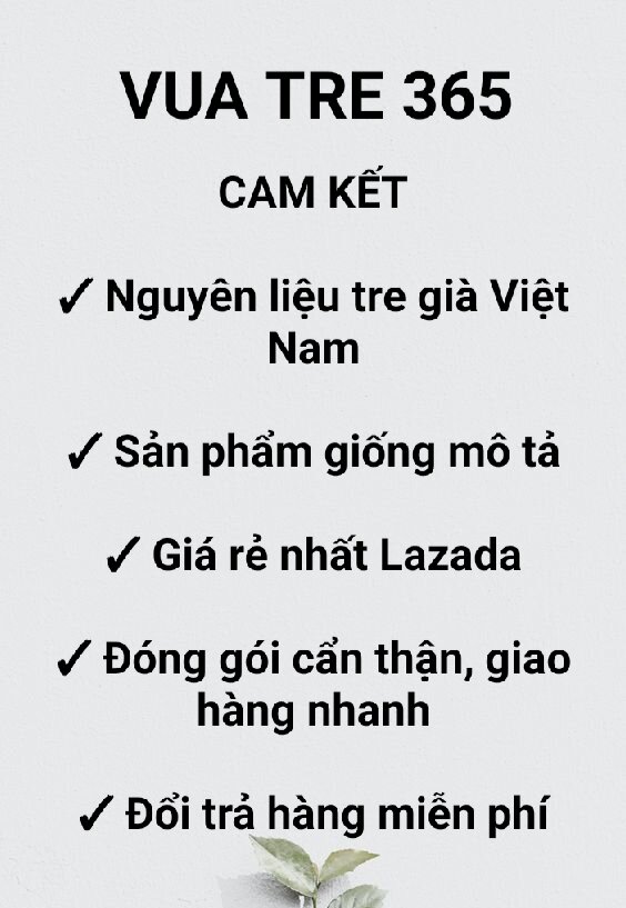 Lược chải tóc bằng tre/ gỗ, lược mềm, massage đầu