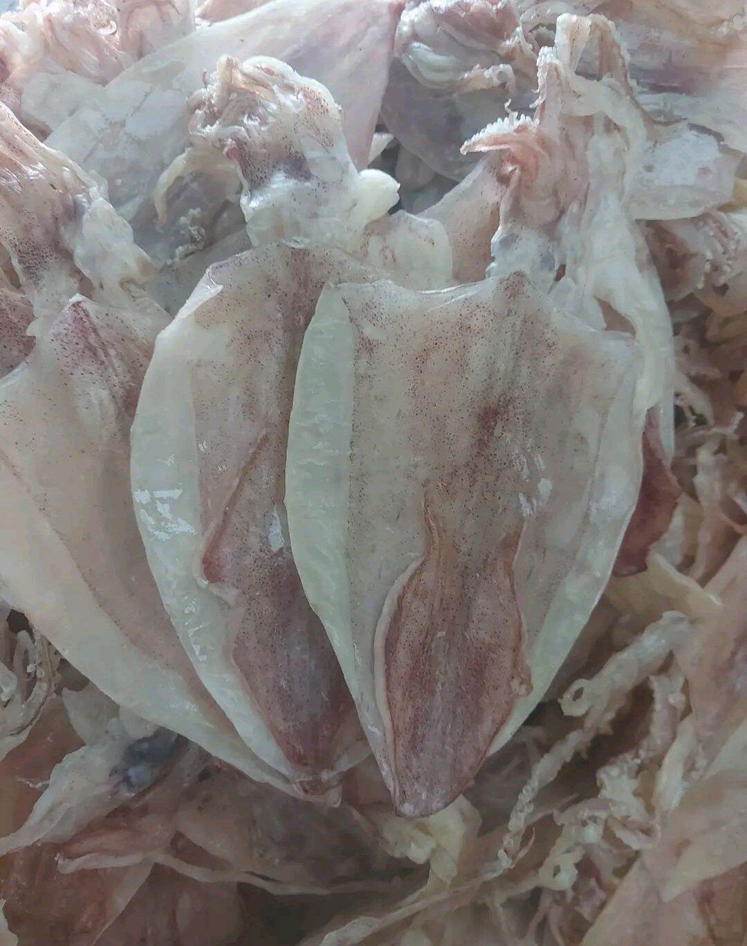 KHÔ MỰC 500gr loại 50_55c 1kg
